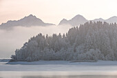 Blick auf den gefrorenen Illasbergsee am Forggensee, im Hintergrund die Tannheimer Berge, im Winter, Allgäu, Bayern, Deutschland, Europa