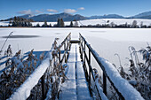 Blick auf einen Steg an einem gefrorenen Weiher im Winter, Buching, Allgäu, Bayern, Deutschland, Europa