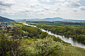 River Morava and Marchauen near Bratislava, Slovakia