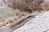 An icy stream with ice and frost on grass, bushes and trees in winter, Germany