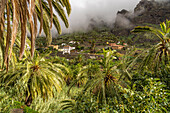 Rural landscape with palm trees in Valle Gran Rey, La Gomera, Canary Islands, Spain