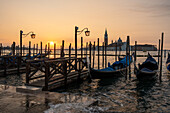 Venice - Schiavoni waterfront in the morning