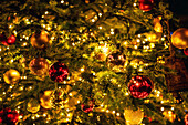 Baubles in red and gold glittering on the Christmas tree with fairy lights