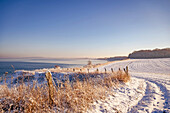 Wintery idyll on the Eitz in Weissenhaeuser beach, steep coast, Weissenhaus, Baltic Sea, Ostholstein, Schleswig-Holstein, Germany
