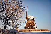 Windmill in Farve, wintry mood, Ostholstein, Schleswig-Holstein, Germany