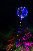 Bunte Luftballons vor beleuchteten Bäumen