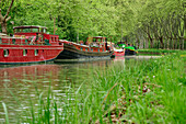 Houseboats on the Canal du Midi, near Toulouse, Canal du Midi, UNESCO World Heritage Canal du Midi, Occitania, France