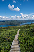 Canada, Newfoundland - Labrador, Gros Morne National Park, Boardwalk in landscape in Gros Morne National Park