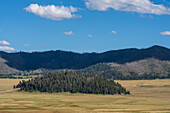 Malerische Landschaft im Valles Caldera National Preserve Nationalpark, New Mexico, USA