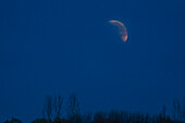Usa, Idaho, Sun Valley, Blood moon rising on night sky