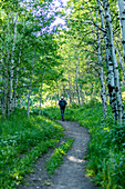 Senior man hiking in forest