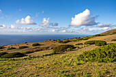 Landschaft im Biosphärenreservat El Sabinar, El Hierro, Kanarische Inseln, Spanien