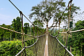 Treetop Walkway in Kakum National Park in the Central Region of southern Ghana in West Africa