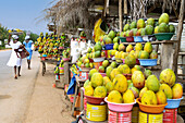 Verkaufsstände mit Mangofrüchten in der Mangoregion bei Somanya in der Eastern-Region im Osten von Ghana in Westafrika