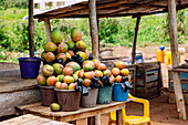 Stalls selling mangoes at Techiman in the Bono East region of eastern Ghana in West Africa