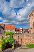 Mittelalterliche Stadtmauer von Obernai, Oberehnheim, Bas-Rhin, Route des Vins d'Alsace, Elsässer Weinstraße, Grand Est, Frankreich