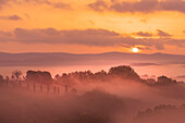 Morgens in den Hügeln bei Chiusdino, Provinz Siena, Toskana, Italien    