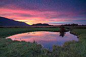 Small spring lake in the Murnauer Moos with attractive evening lighting.