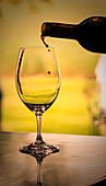 USA, Staat Washington, Walla Walla. Rotwein im Gegenlicht der Mittagssonne in Weinglas gegossen und bildet runde Tropfen.