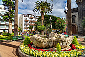 Brunnen auf dem Platz Plaza de la iglesia, Puerto de la Cruz, Teneriffa, Kanarische Inseln, Spanien 