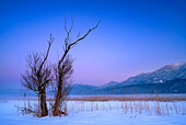 Winter evening in the Moos near Kochel am See with a view of the Rabenkopf mountain, Bavaria, Germany.