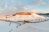 Winter in the wine paradise, Hüttenheim, Kitzingen, Lower Franconia, Franconia, Bavaria, Germany, Europe