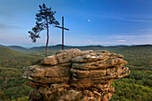 Pine tree and summit cross on a rock, Palatinate Forest, Palatinate, Rhineland-Palatinate, Germany