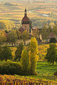 Weingut Geilweiler Hof, bei Siebeldingen, Deutsche Weinstraße, Pfälzer Wald, Pfalz, Rheinland-Pfalz, Deutschland