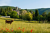 Medieval village, Le Poët-Laval, Le Poet-Laval, Les plus beaux villages de France, Drôme department, Auvergne-Rhône-Alpes, Provence, France