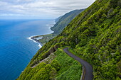 Aerial view of road along forested coast by the sea, Norte Pequeno, Sao Miguel Island, Azores, Portugal, Europe