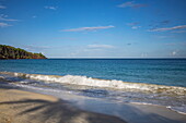 Schatten von Kokospalme am Strand Grand Anse Bay, Saint George's, Saint George, Grenada, Karibik