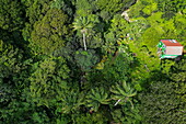 Luftaufnahme einer Hütte, Unterkunft in üppigen Gärten des Tower Estate, Saint Paul's, Saint George's, Saint George, Grenada, Karibik