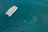 Luftaufnahme von Menschen, die von einem Katamaran aus schwimmen und schnorcheln, in der Nähe von Saint George, Grenada, Karibik