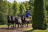 Traditionelle ungarische Reitvorführung im Lazar Equestrian Park, Domony, Pest, Ungarn, Europa
