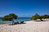 People relaxing near the famous Divi Divi (or Fofoti) trees at Eagle Beach, Aruba, Dutch Caribbean, Caribbean