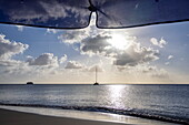 Blick von unterhalb eines Sonnenschirm am Pinneys Beach zum Expeditionskreuzfahrtschiff World Voyager (Nicko Cruises), Insel Nevis, St. Kitts und Nevis, Karibik