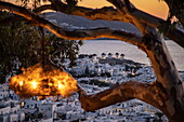 View over the town with the famous Mykonos Windmills seen through tree at 180º Sunset Bar at dusk, Mykonos, South Aegean, Greece, Europe