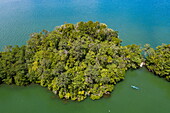 Luftaufnahme, Seekajak in der Bucht von Ensenada Verde mit Regenwald, in der Nähe von Santo Tomás de Castilla, Izabal, Guatemala, Mittelamerika