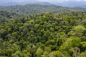 Luftaufnahme, Grüntöne im Veragua Rainforest Park, Limón, Limón, Costa Rica, Mittelamerika