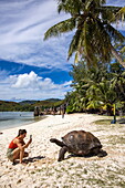 Young woman taking smartphone photo of giant tortoise on beach, Curieuse Island, Seychelles, Indian Ocean