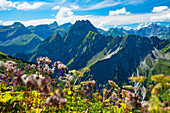 Mountain panorama from Laufbacher-Eckweg to Höfats, 2259m, Allgäu Alps, Allgäu, Bavaria, Germany, Europe