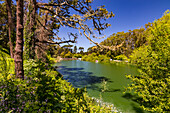 Idyllische Aussicht am Stow Lake im Golden Gate Park von San Francisco, Kalifornien, Vereinigte Staaten von Amerika, USA