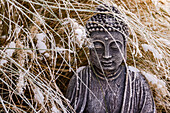 Close-up of a Buddha statue with ice and snow in the garden in winter, Germany
