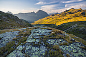 Blick über das Bieltal zum Berg Vallüla, Silvrettagruppe, Tirol, Österreich