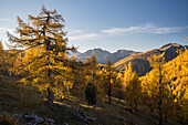 autumnal Nockberge, Pfannnock, Predigerstuhl, Plattnock, Gurktal Alps, Carinthia, Austria