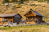Staller Alm, Staller Sattel, Osttirol, Tirol, Österreich