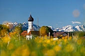 Iffeldorf on the Osterseen with Wetterstein Mountains, Alps, Upper Bavaria, Germany