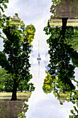Der Berliner Fernsehturm umrahmt von Bäumen, Berlin, Deutschland