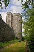 Burg in Stolpen, Kleinstadt in Sachsen, Landkreis Sächsische Schweiz-Osterzgebirge, Sachsen, Deutschland, Europa