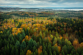 Herbstlicher Wald aus der Vogelperspektive, Salem, Bodensee, Baden-Württemberg, Deutschland